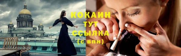 твердый Майский