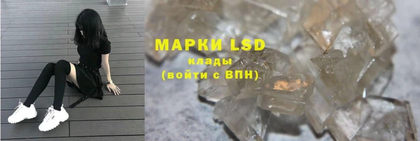 твердый Майский