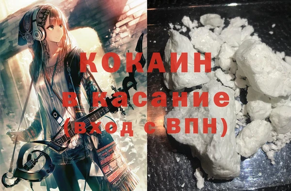 твердый Майский