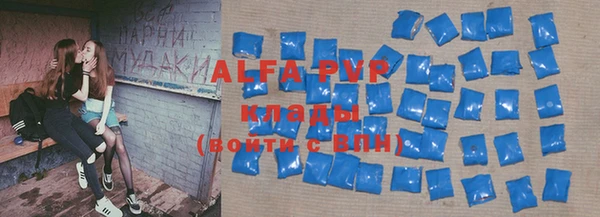 твердый Майский