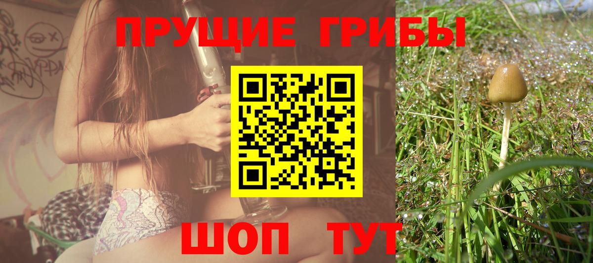 Псилоцибиновые грибы мицелий Пенза