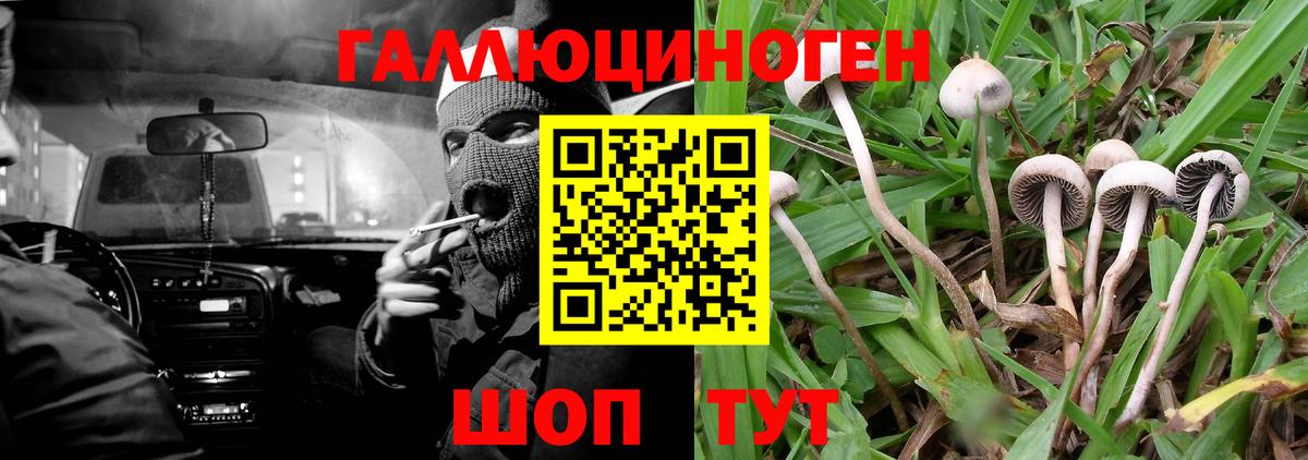 Пенза  Псилоцибиновые грибы мицелий  Вход с VPN 